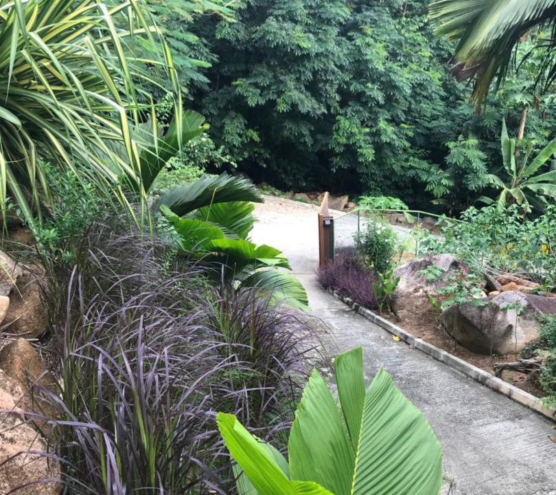 Photo of Others in Mahe Island