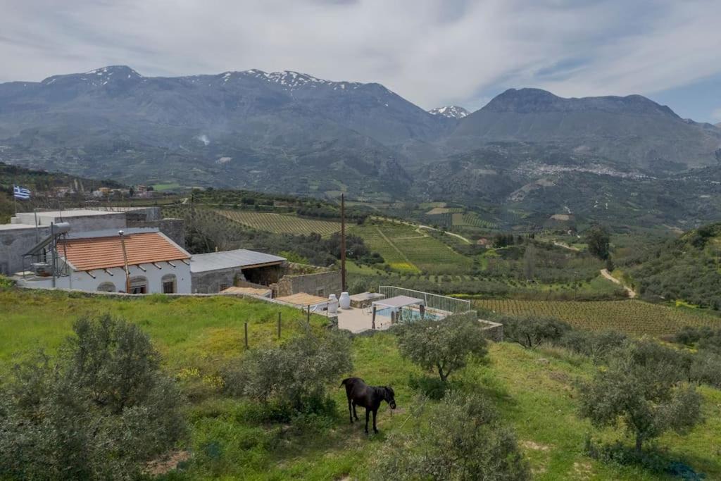 Photo of Others in Agios Myronas