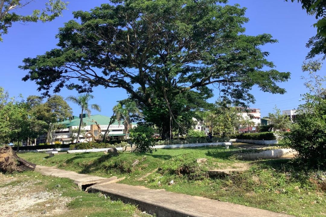 Photo of Others in Sipalay