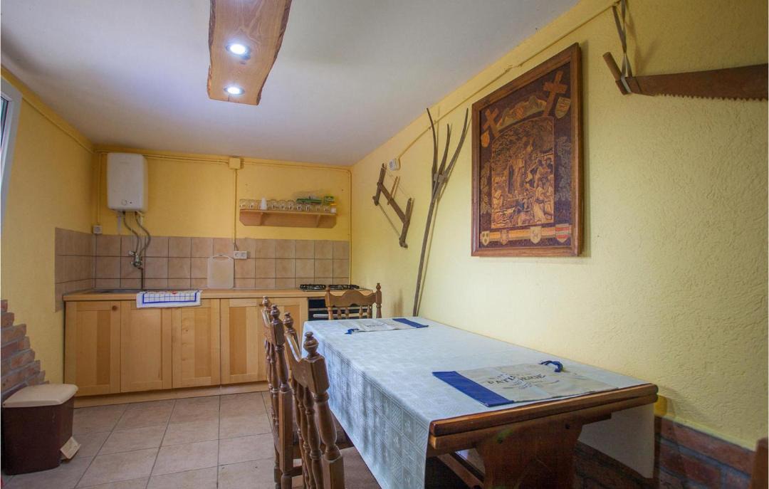 Photo of Kitchen in Opatovac