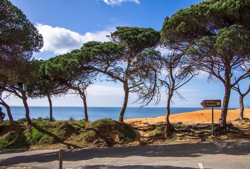 Photo of Outdoor in Aldeia das Acoteias
