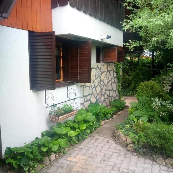 Photo of Others in Vonyarcvashegy