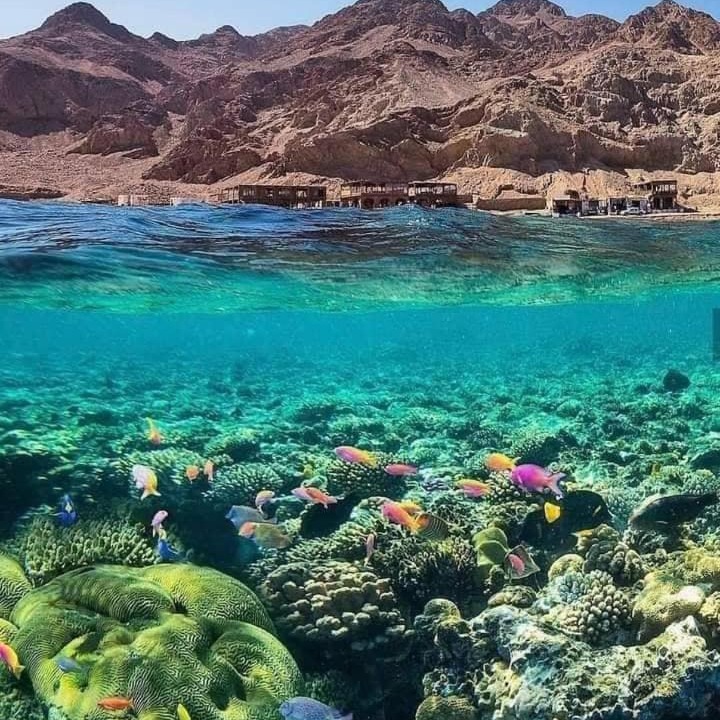 Photo of Outdoor in Dahab