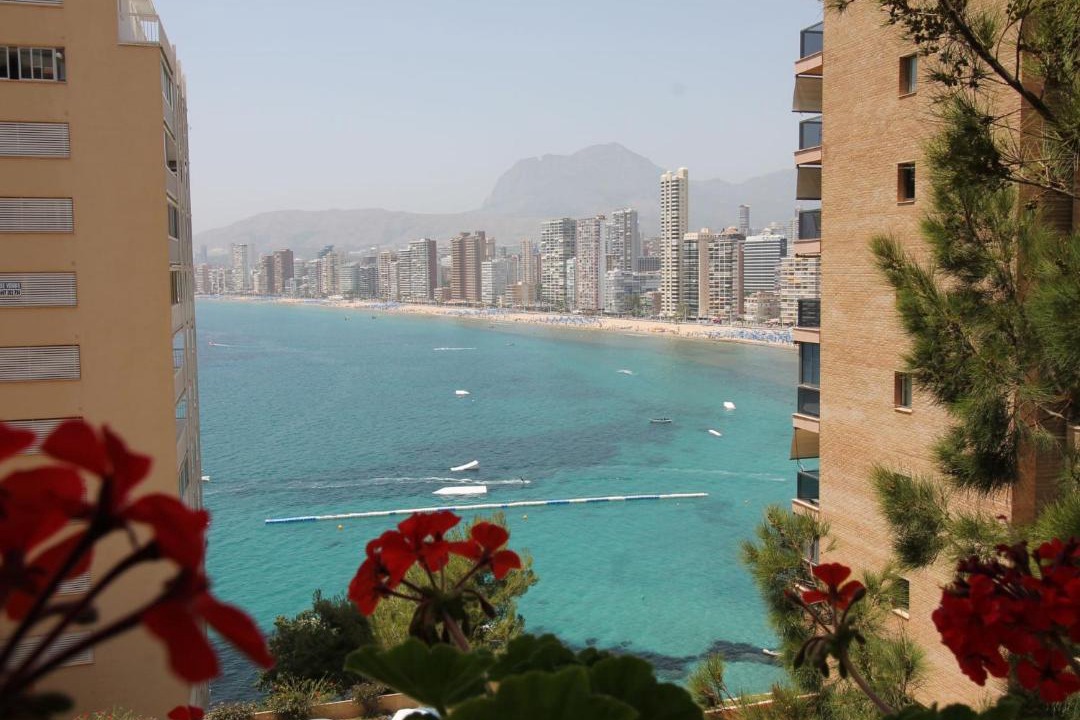 Photo of Others in Benidorm