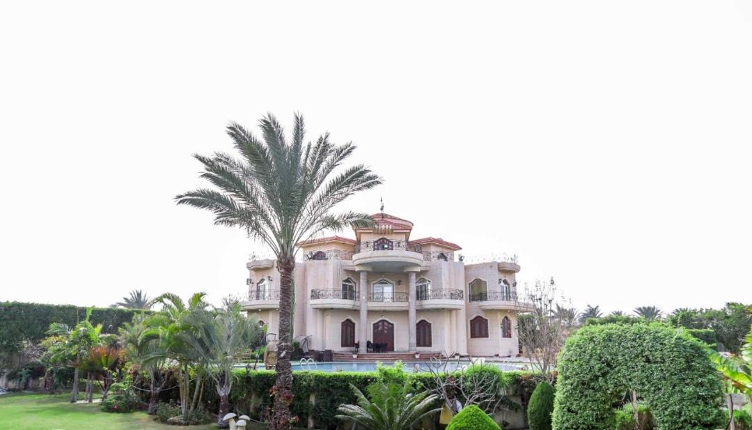 Photo of Buildings in Al-'Amriyah