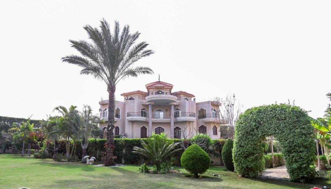 Photo of Buildings in Al-'Amriyah