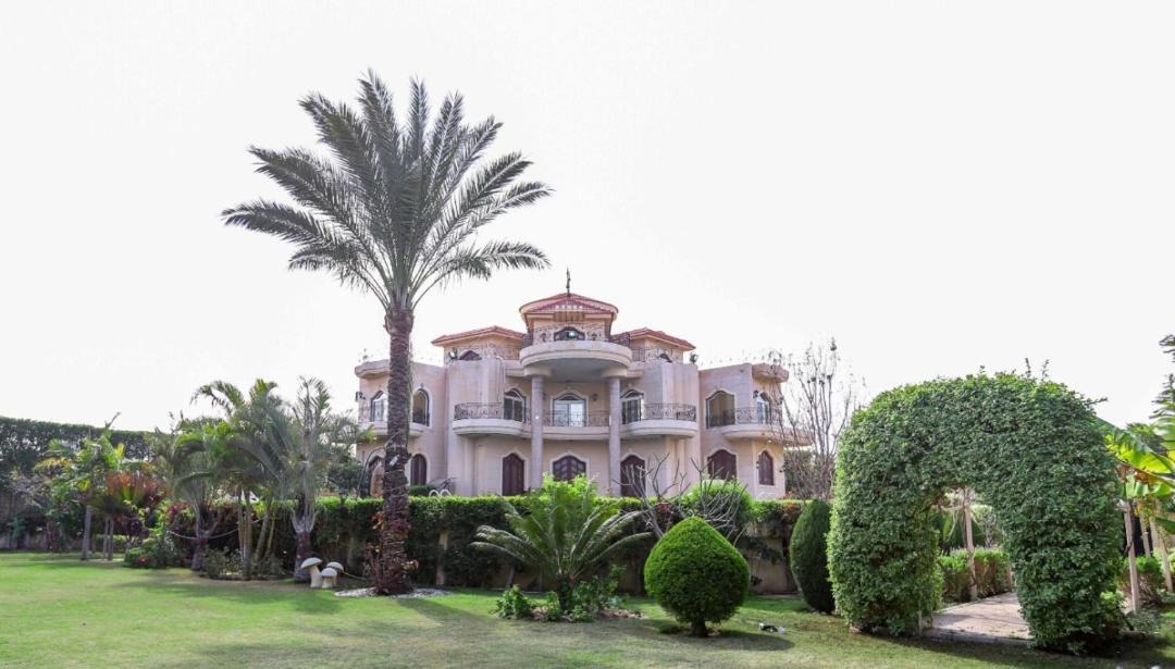 Photo of Buildings in Al-'Amriyah