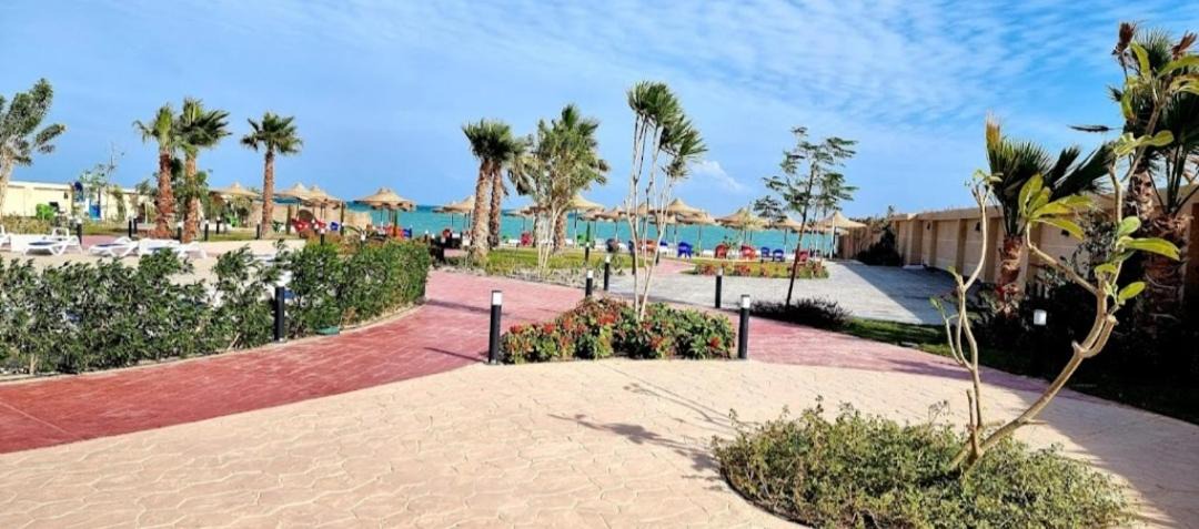 Photo of Others in Hurghada