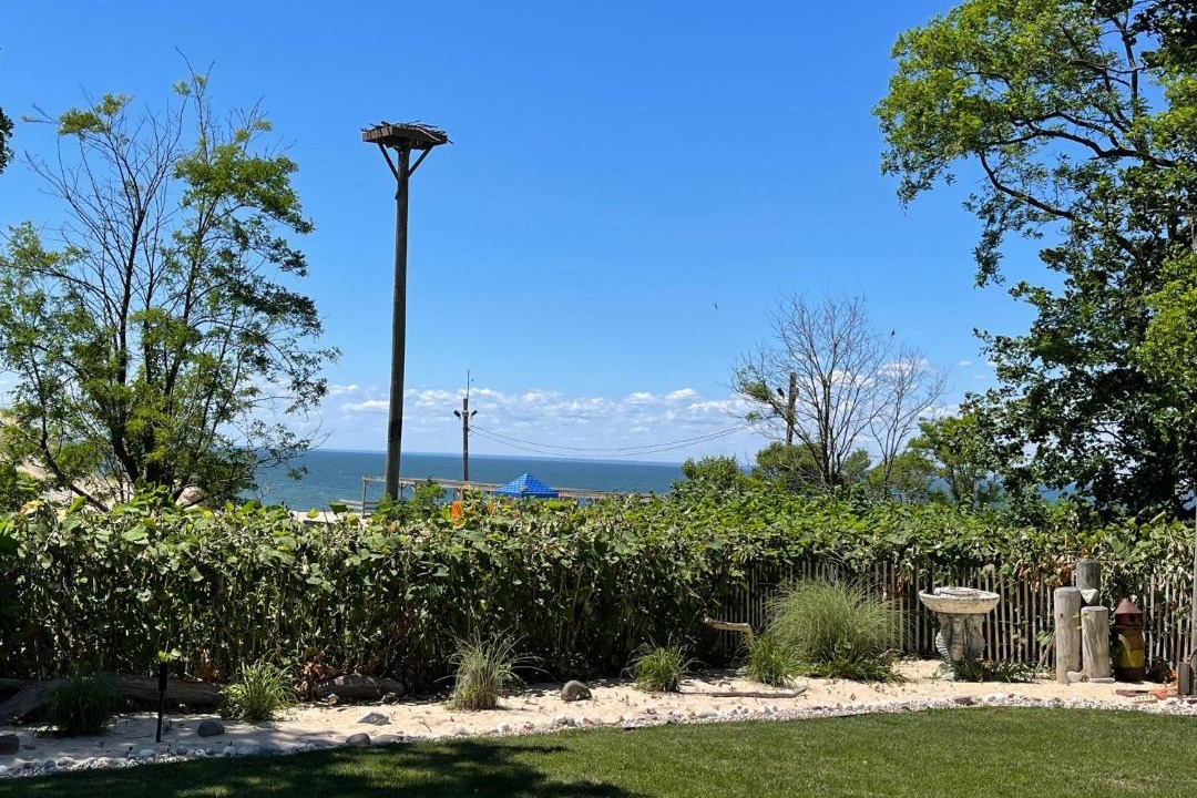 Photo of Others in Rocky Point