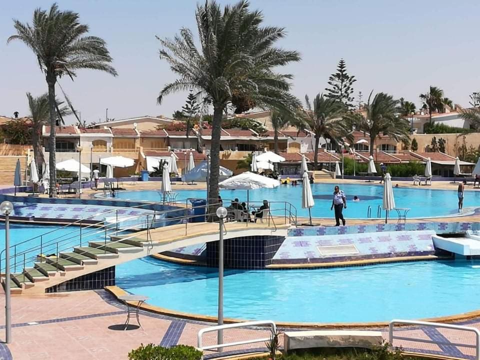 Photo of Others in Al-Hammam