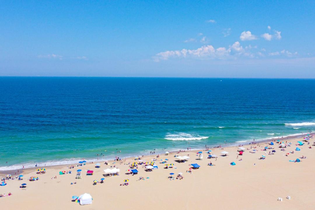 Photo of Others in Sandbridge