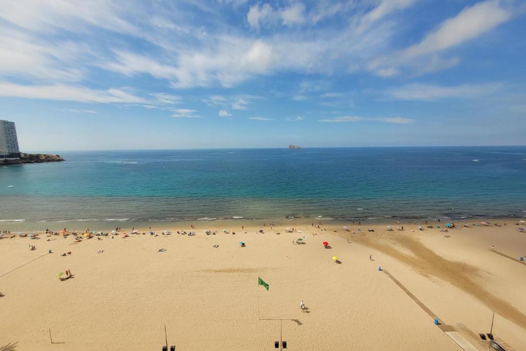 Photo of Others in Benidorm