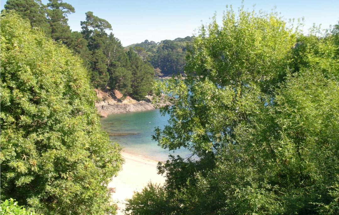 Photo of Outdoor in Lezardrieux
