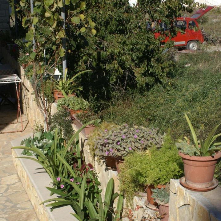 Photo of Others in Mirce