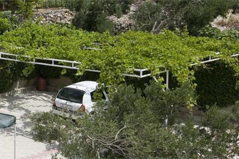Photo of Others in Igrane