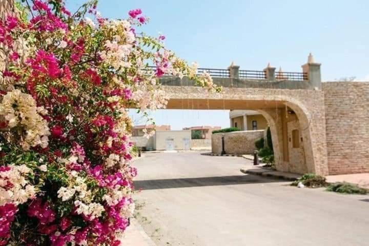 Photo of Buildings in Al-Hammam