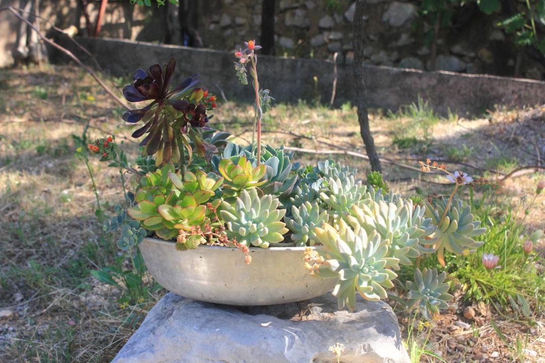 Photo of Outdoor in Stankovici