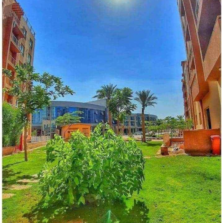 Photo of Others in 6th of October City