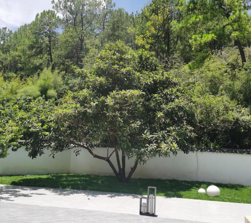 Photo of Outdoor in Gucheng District