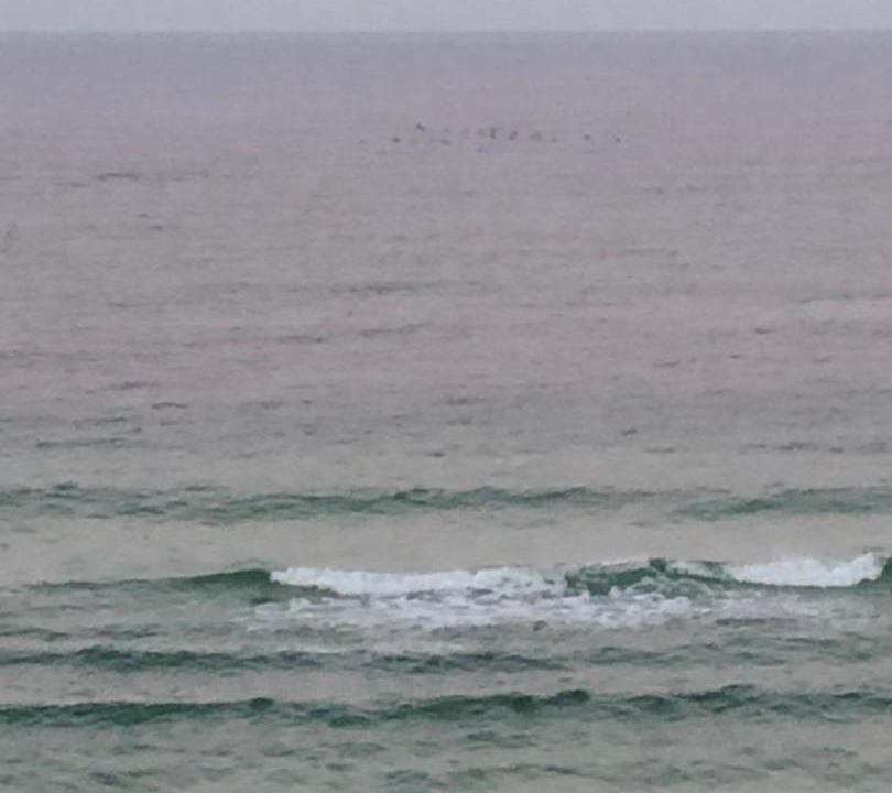 Photo of Others in Biltmore Beach