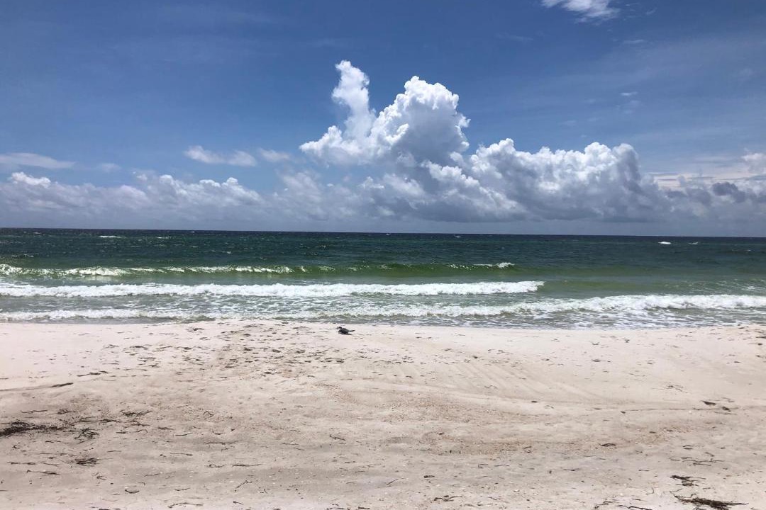 Photo of Others in Biltmore Beach