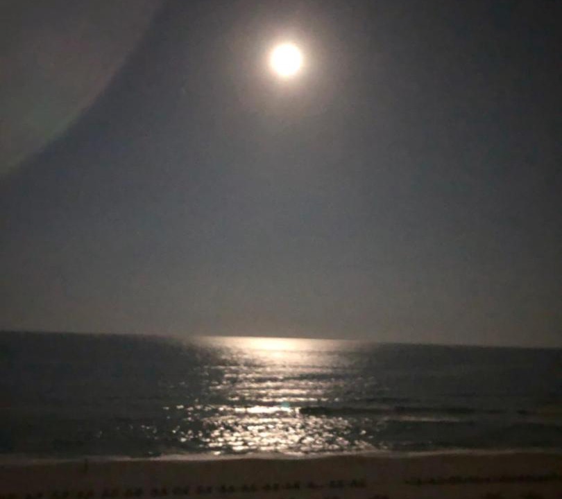 Photo of Others in Biltmore Beach