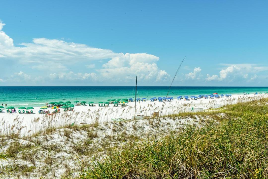 Photo of Others in Miramar Beach