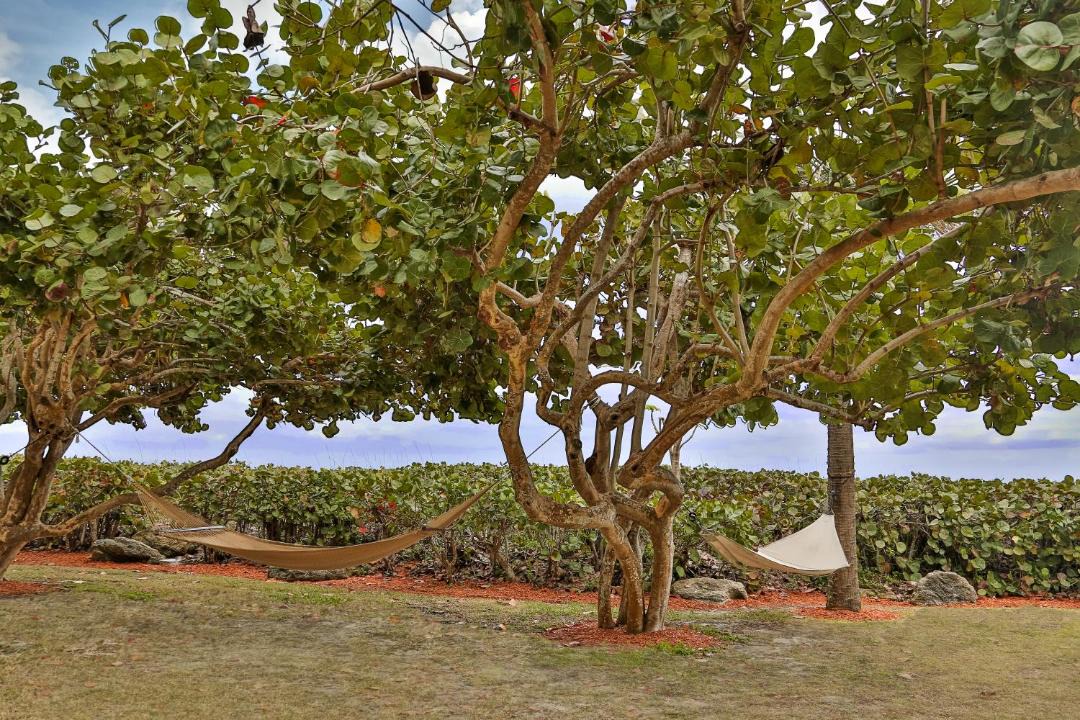 Photo of Outdoor in Cocoa Beach