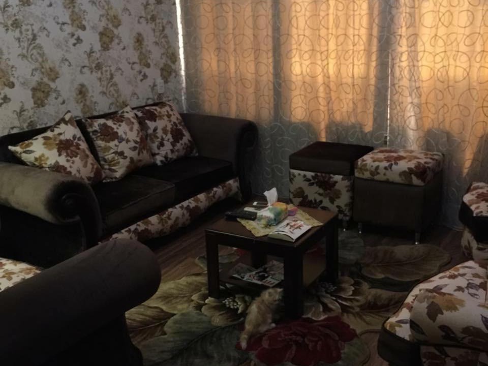 Photo of Livingroom in Nasr City