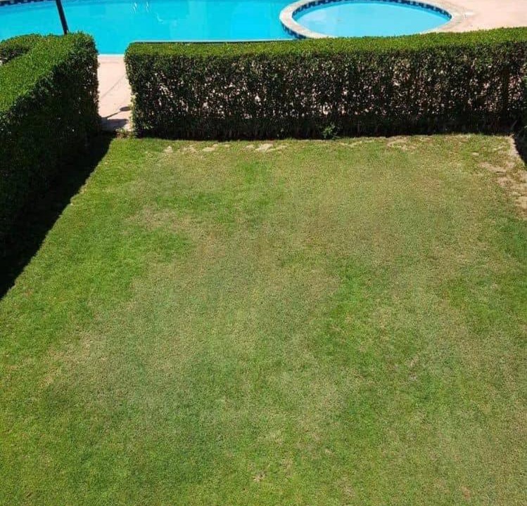 Photo of Outdoor in Al-'Amriyah