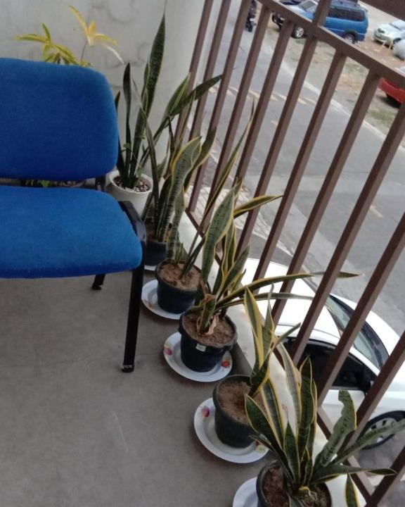 Photo of Patio Balcony in Moonwalk