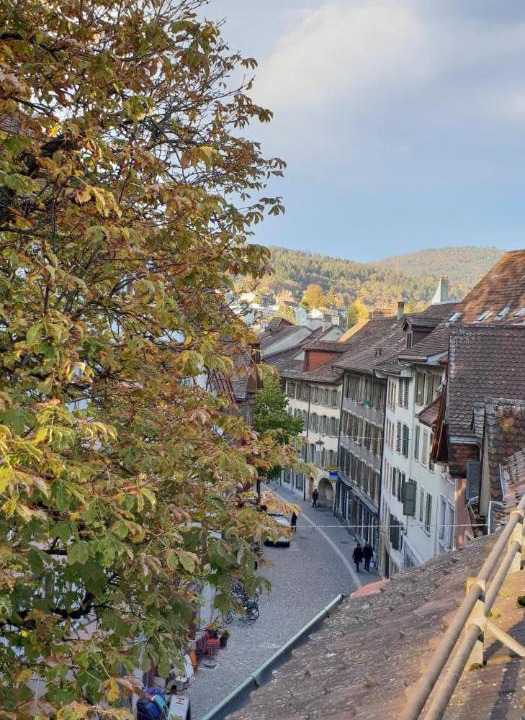 Photo of Buildings in Biel