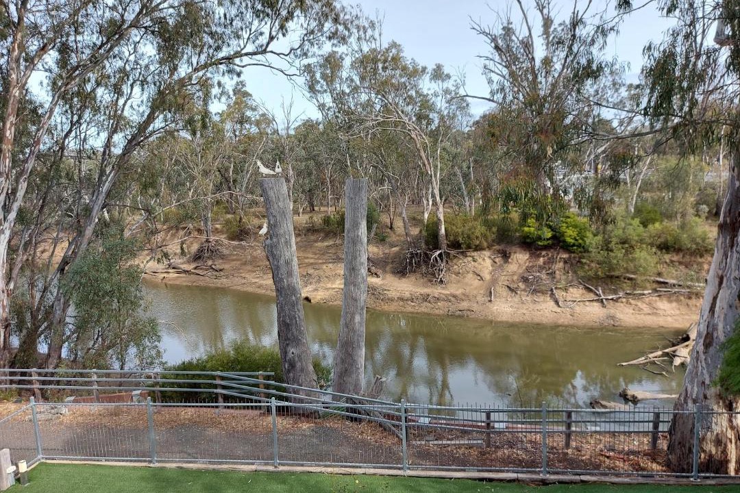 Photo of Others in Echuca