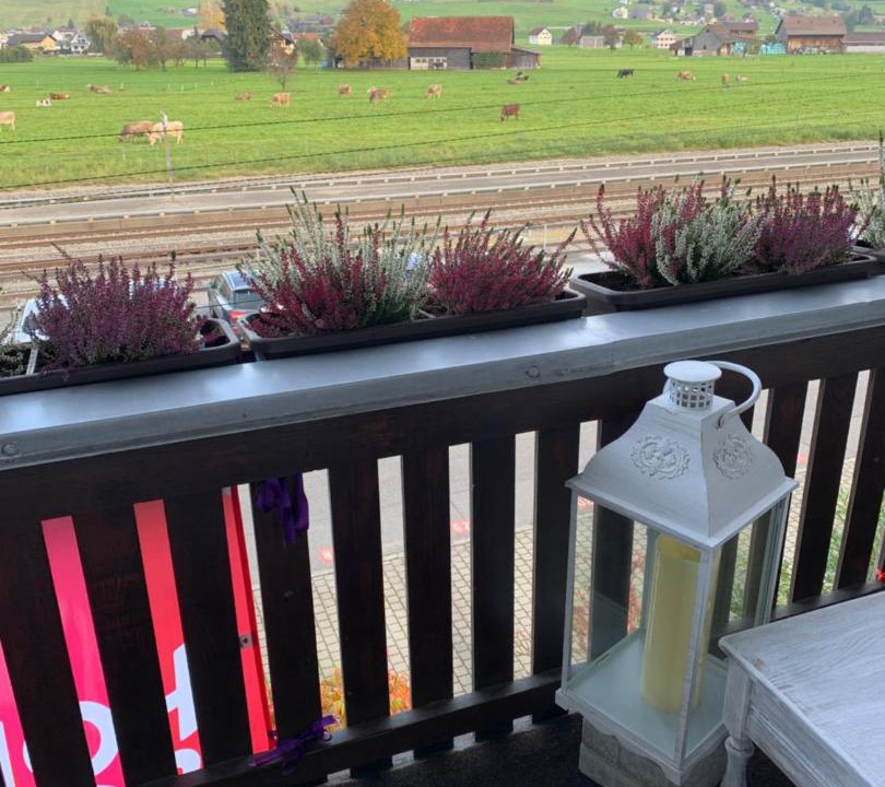 Photo of Patio Balcony in Wangen