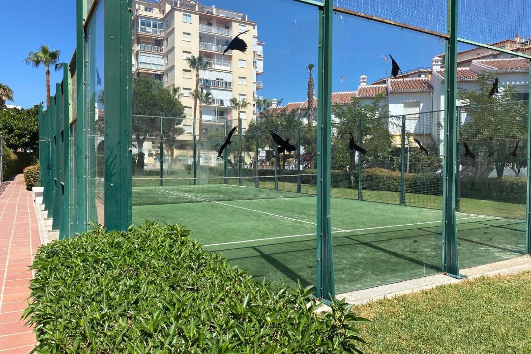 Photo of Outdoor in Torrox Costa