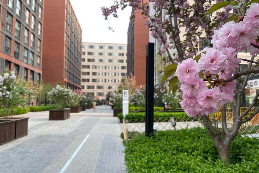 Photo of Buildings in Nanfaxin