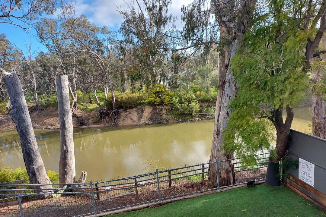 Photo of Others in Echuca