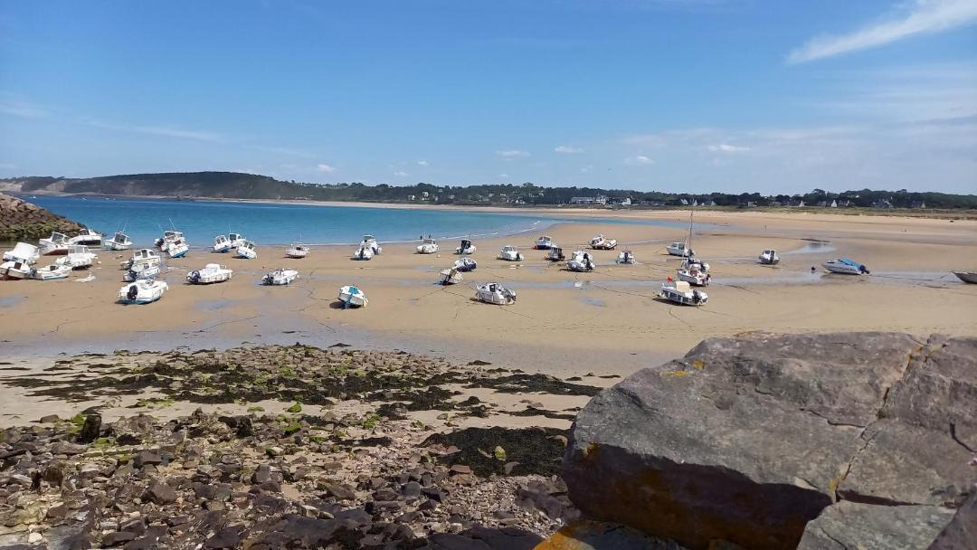Photo of Others in Sables-d'Or-les-Pins