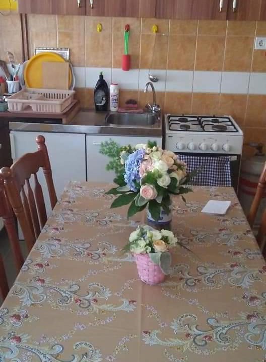 Photo of Kitchen in Tiszasas