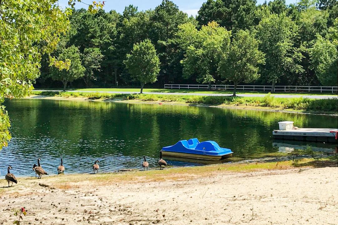 Photo of Others in Assateague Pointe