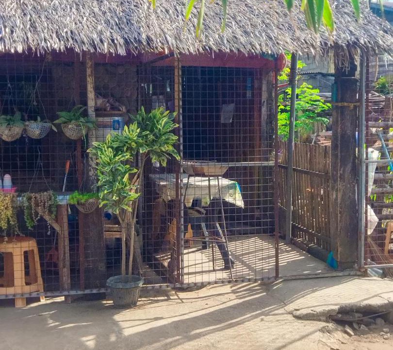 Photo of Buildings in Nasugbu