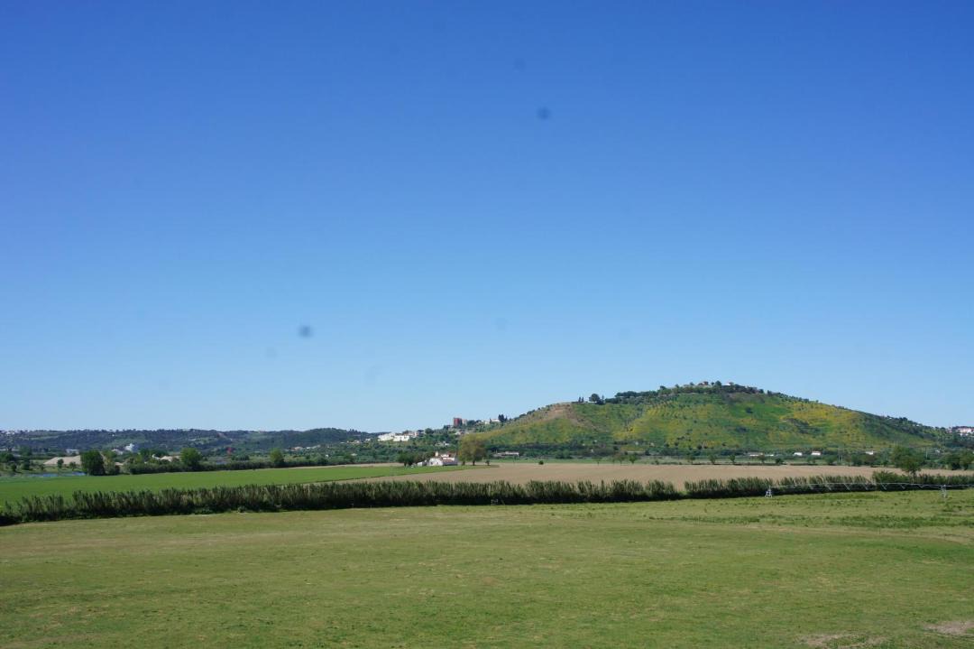 Photo of Others in Alferrarede