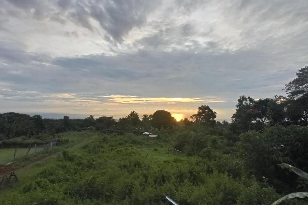 Photo of Outdoor in Toril