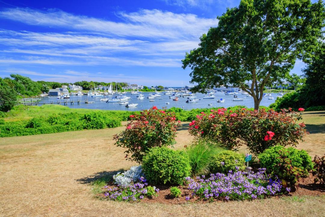 Photo of Others in East Harwich