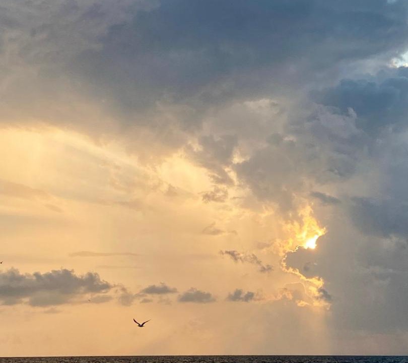 Photo of Outdoor in Biltmore Beach