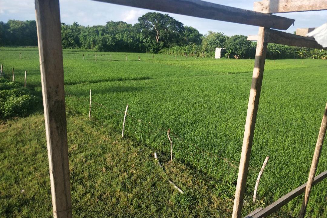 Photo of Others in Calatagan