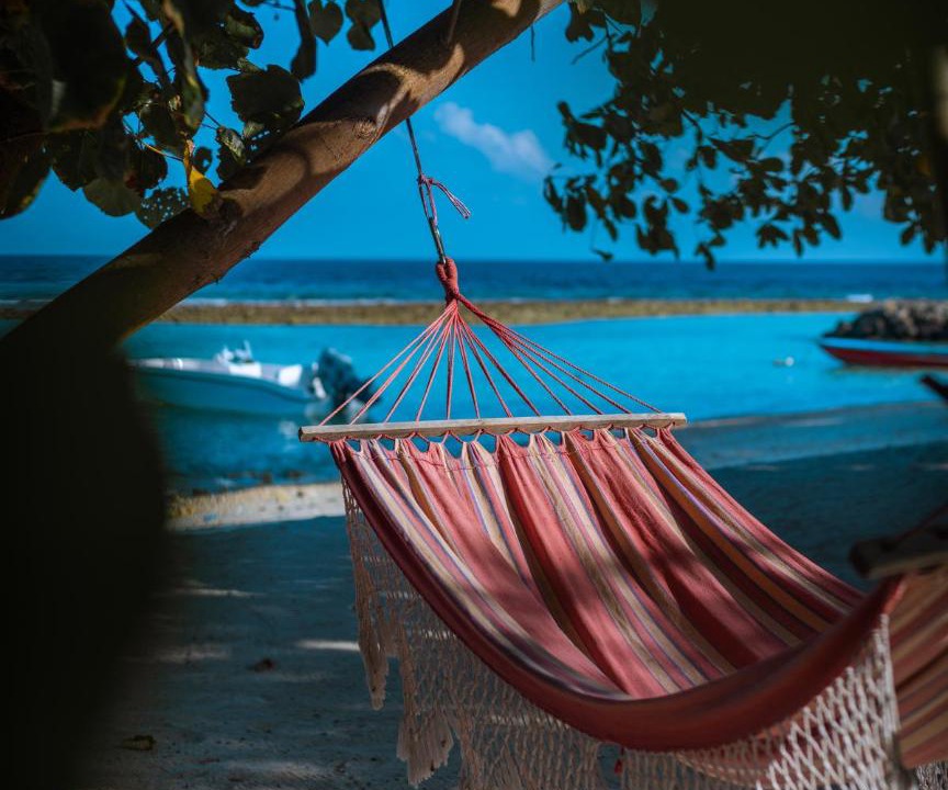 Photo of Others in Rasdhoo