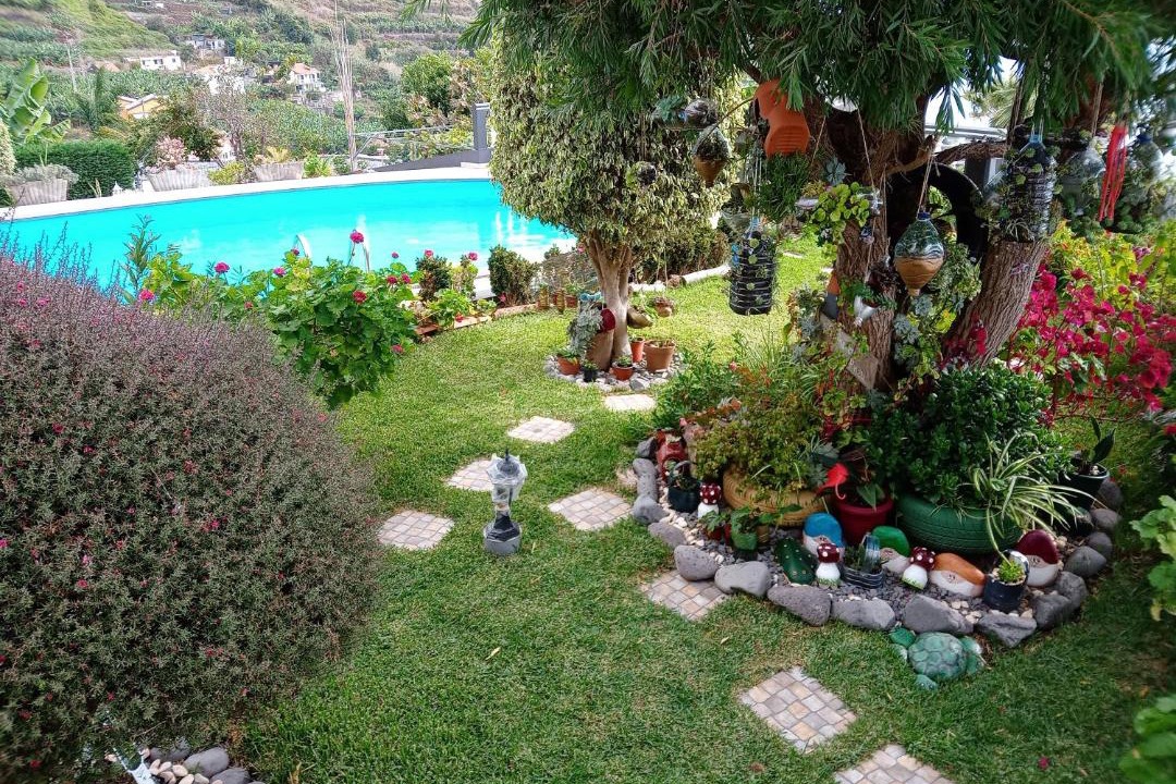 Photo of Others in Arco da Calheta