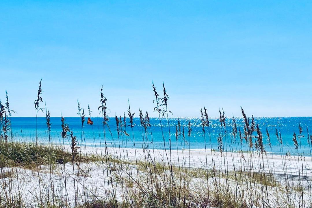 Photo of Outdoor in Biltmore Beach