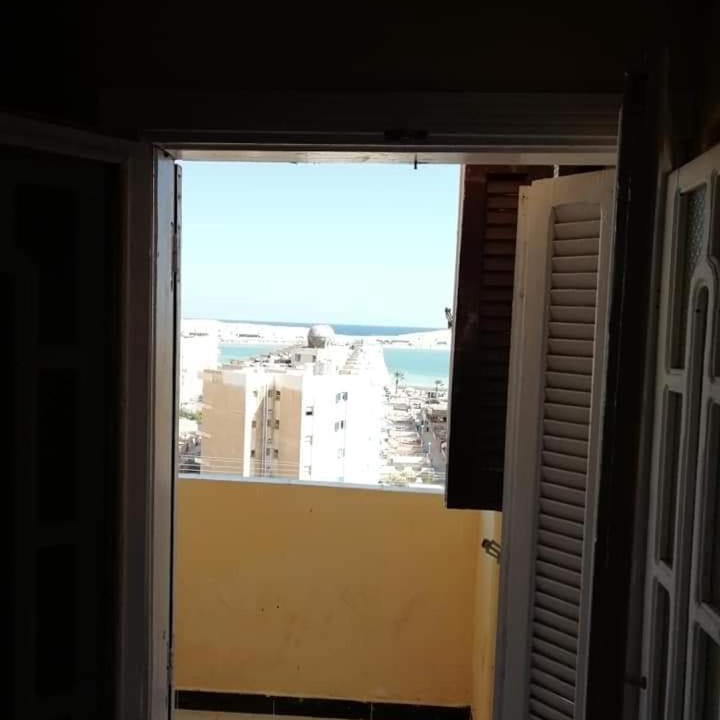 Photo of Others in Marsa Matruh